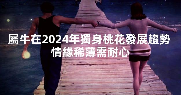 屬牛在2024年獨身桃花發展趨勢 情緣稀薄需耐心